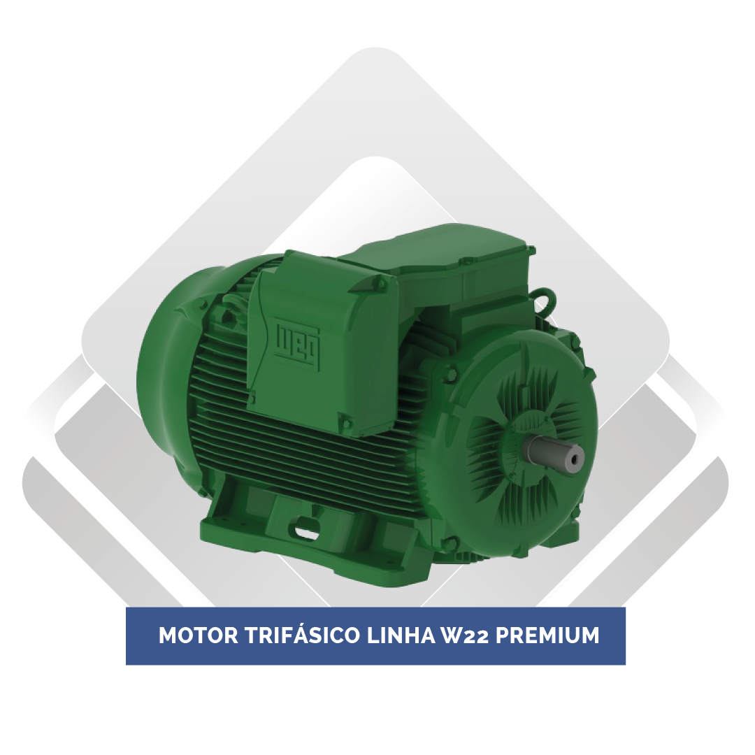 Motor Trifásico Linha W22 Premium
