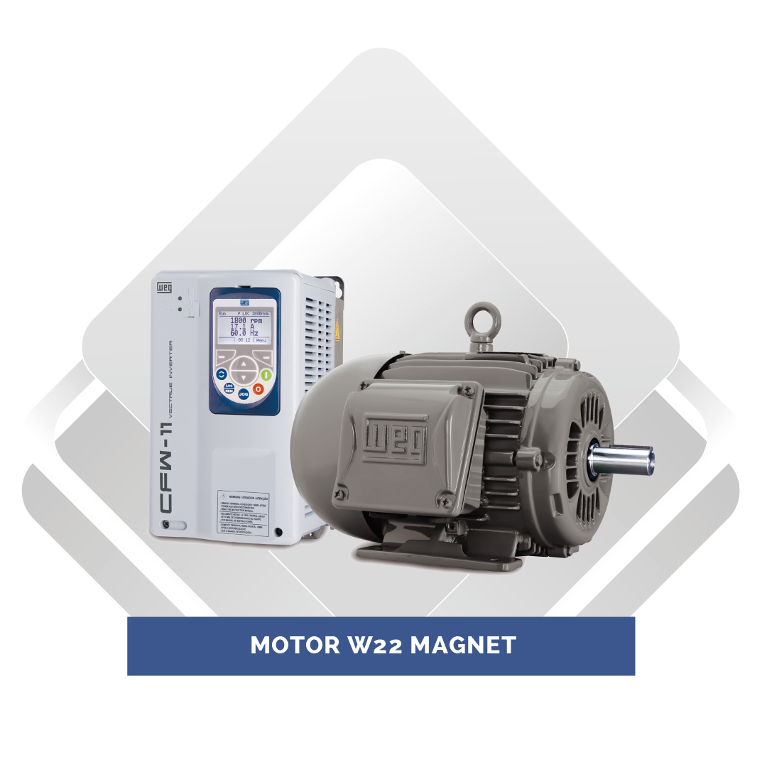 Motor W22 Magnet