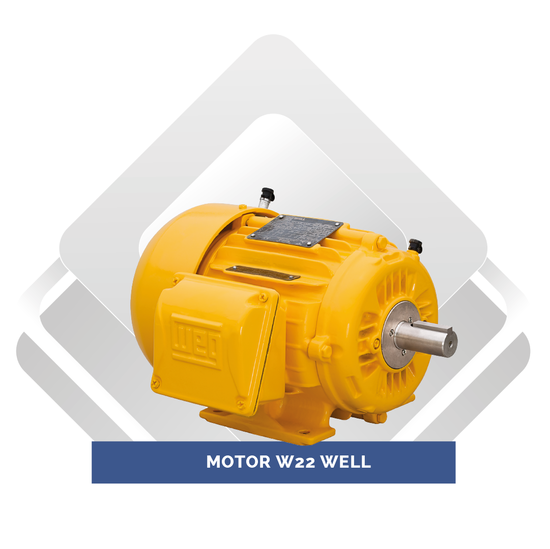 Motor W22 Well
