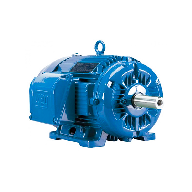 Motor Trifásico Linha W22 Plus